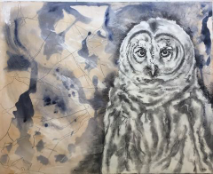 The Hidden Owl Original Art