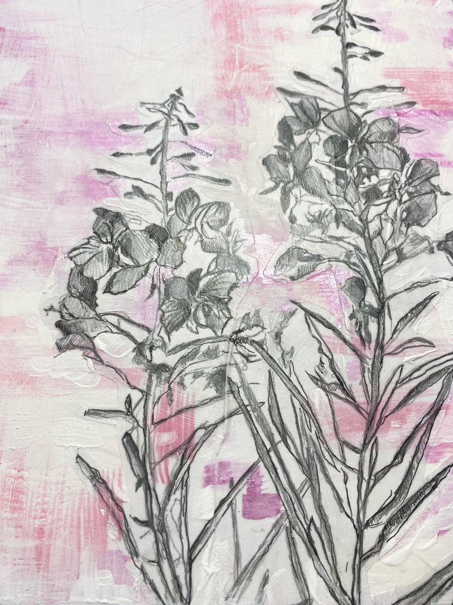 Fireweed Pop
