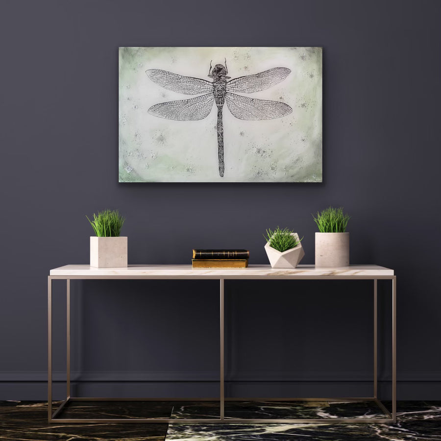 Black Petaltail Dragonfly