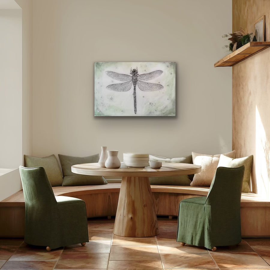 Black Petaltail Dragonfly