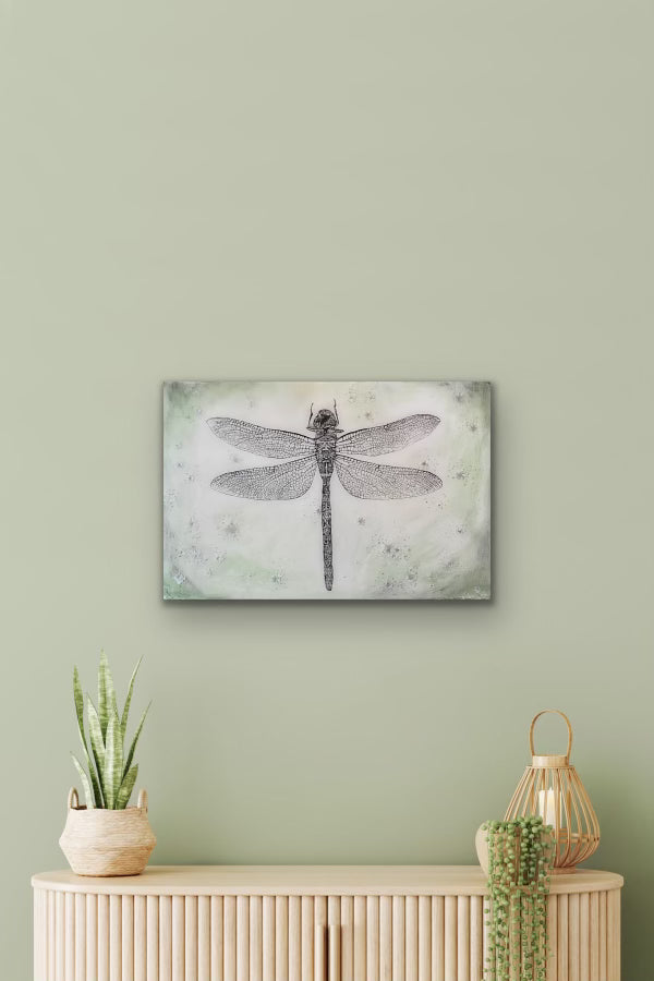Black Petaltail Dragonfly