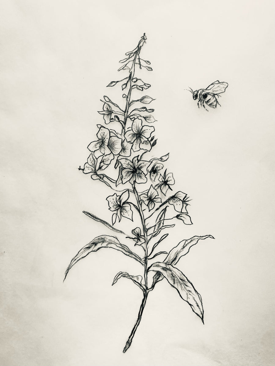 Available Hand Drawn Tattoo Design - Fireweed & Bee