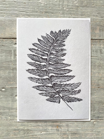 Set of 3 Gambier Fern Greeting Cards