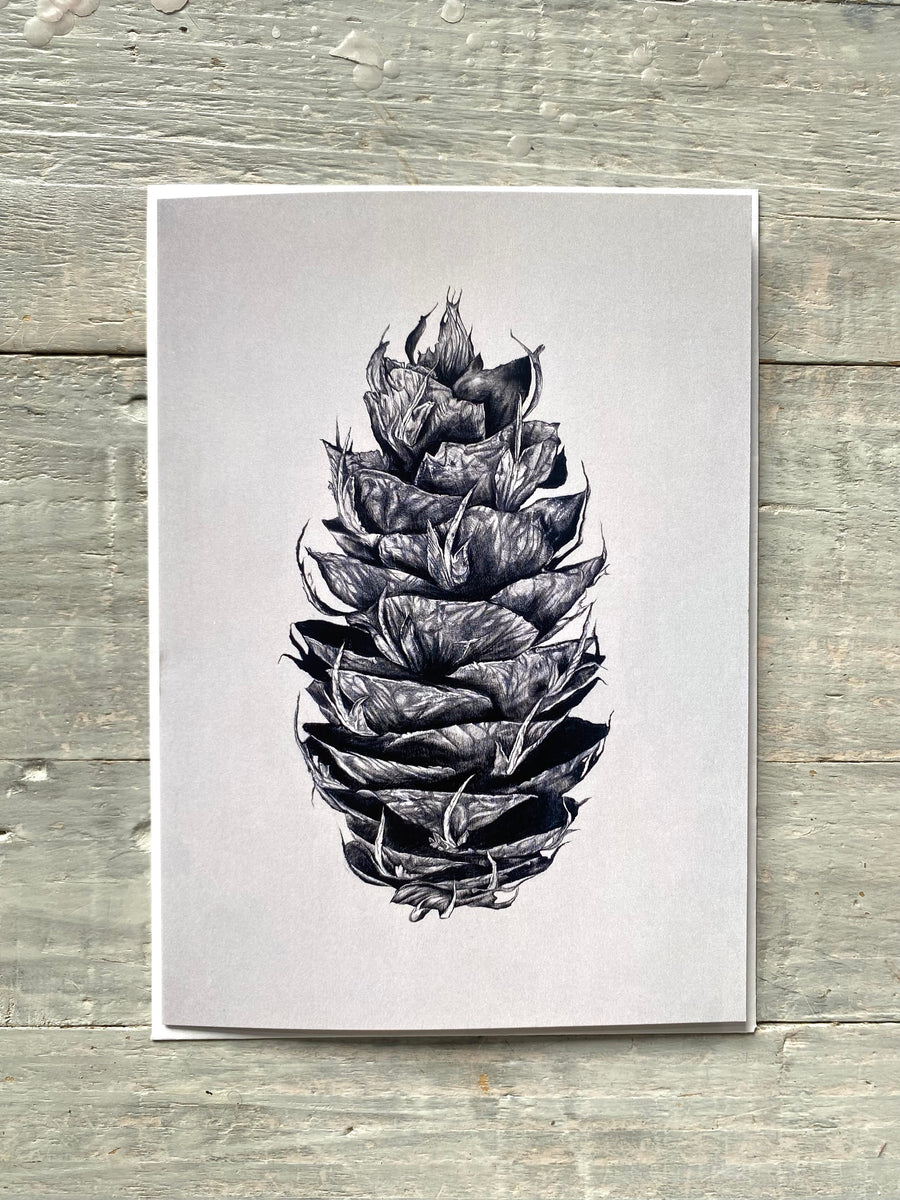 Set of 3 Fir Cone Greeting Cards