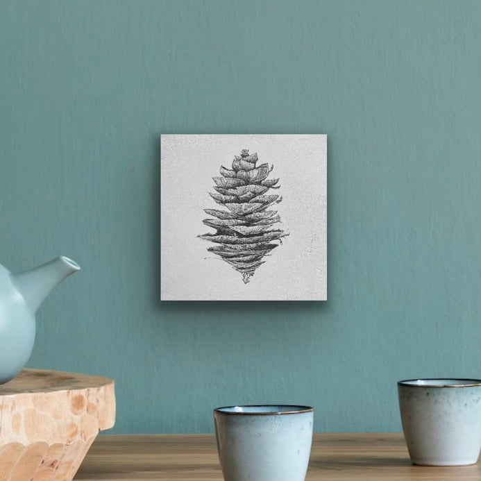 Douglas Fir Cone