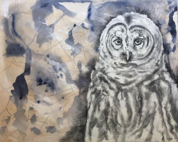 Original mixd media painting and drawing of a Barred Owl. Encaustic top coat. By Heidi Denessen