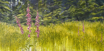 Gambier Island Foxgloves