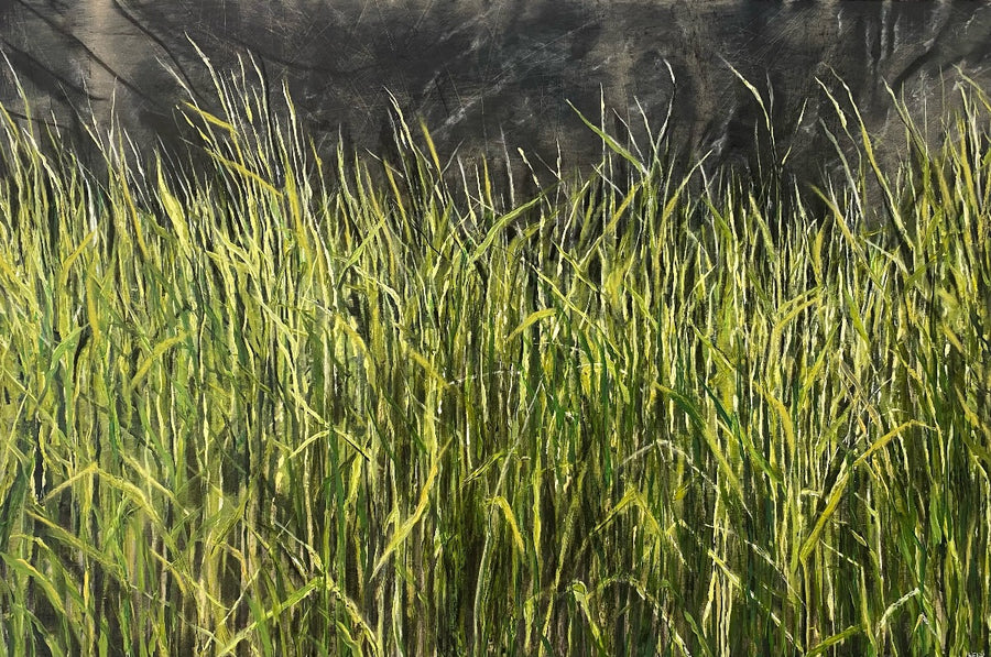 Colour Field #1 Tall Grass, Pemberton BC