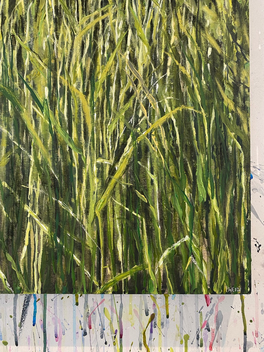 Colour Field #1 Tall Grass, Pemberton BC