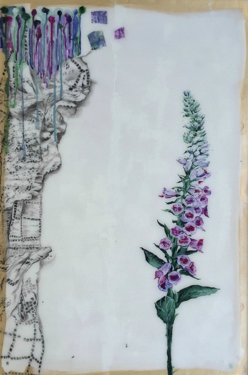 Foxglove - A Flower From My Youth