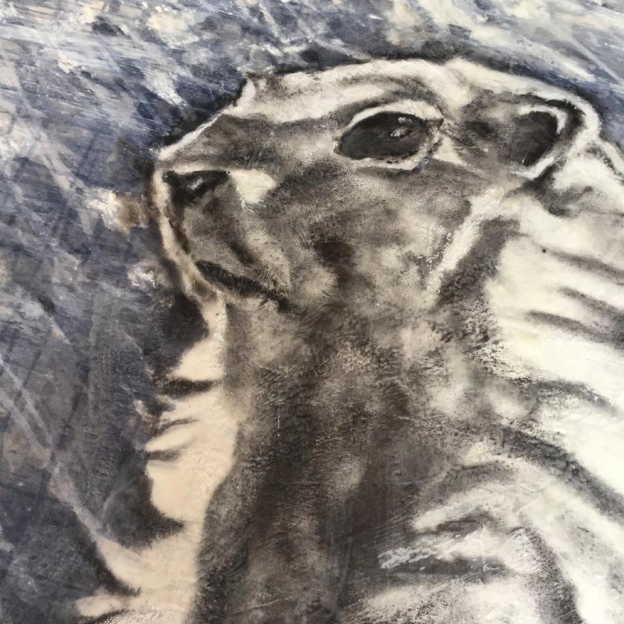 Original mixed media painting of the Hoary Marmot of Whistler. Encaustic top coat. By Heidi Denessen. 