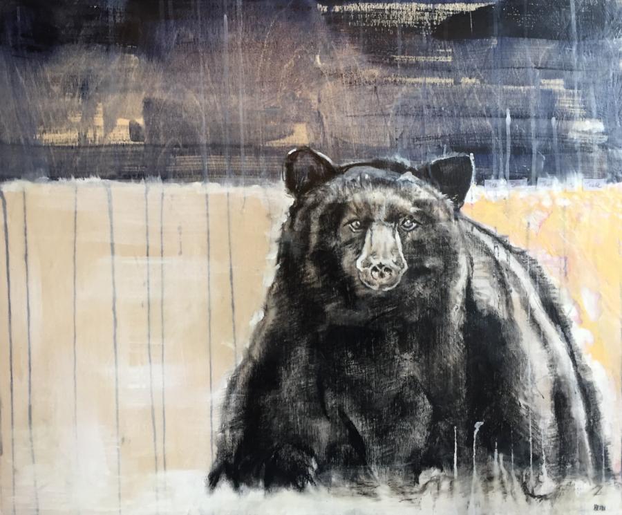 Mixed media painting of a black bear in Whistler, BC. Encaustic top coat. By Heidi Denessen