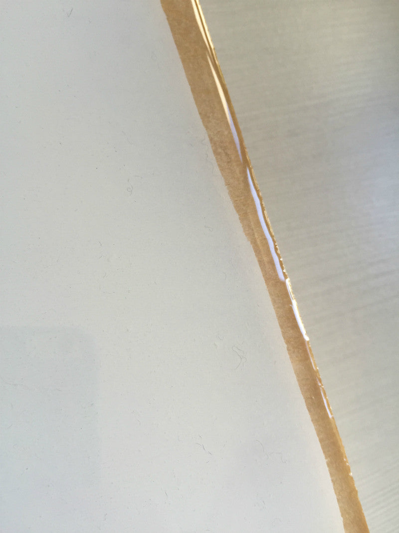 Ski Pole